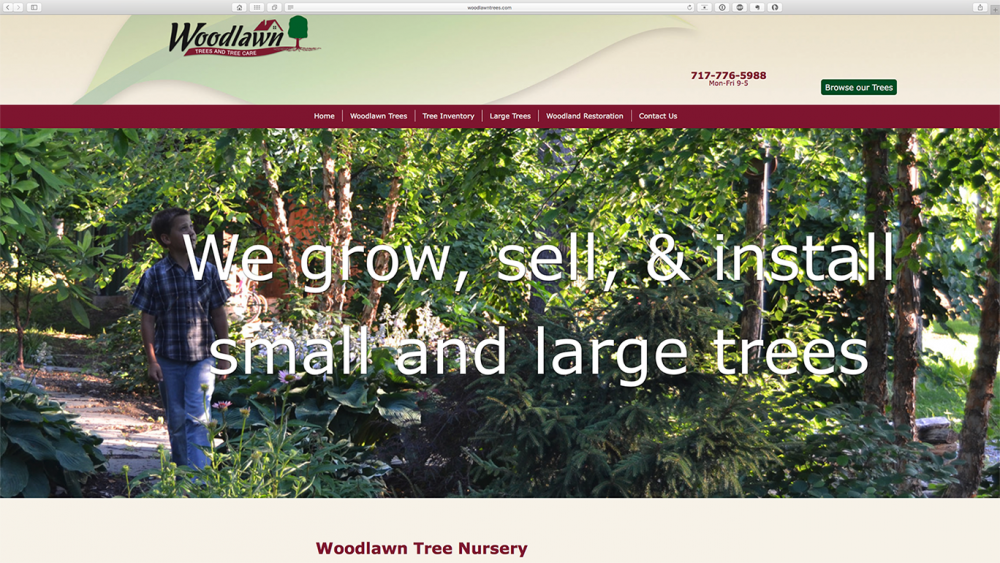 Woodlawn Trees website home page on desktop