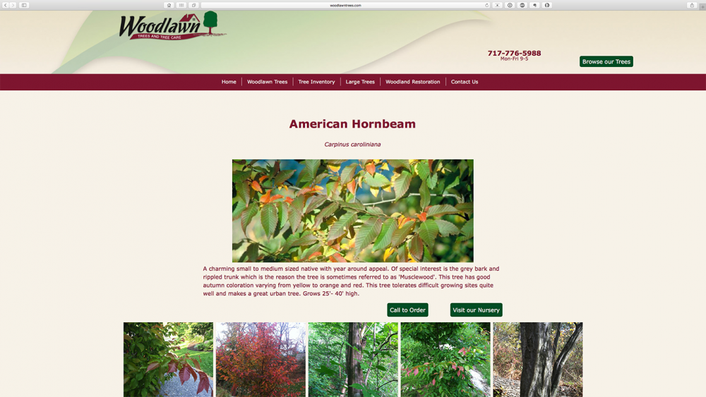Woodlawn Trees website tree page on desktop